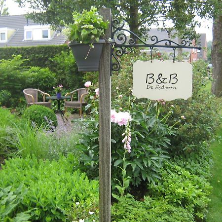B&B De Esdoorn Norg Extérieur photo