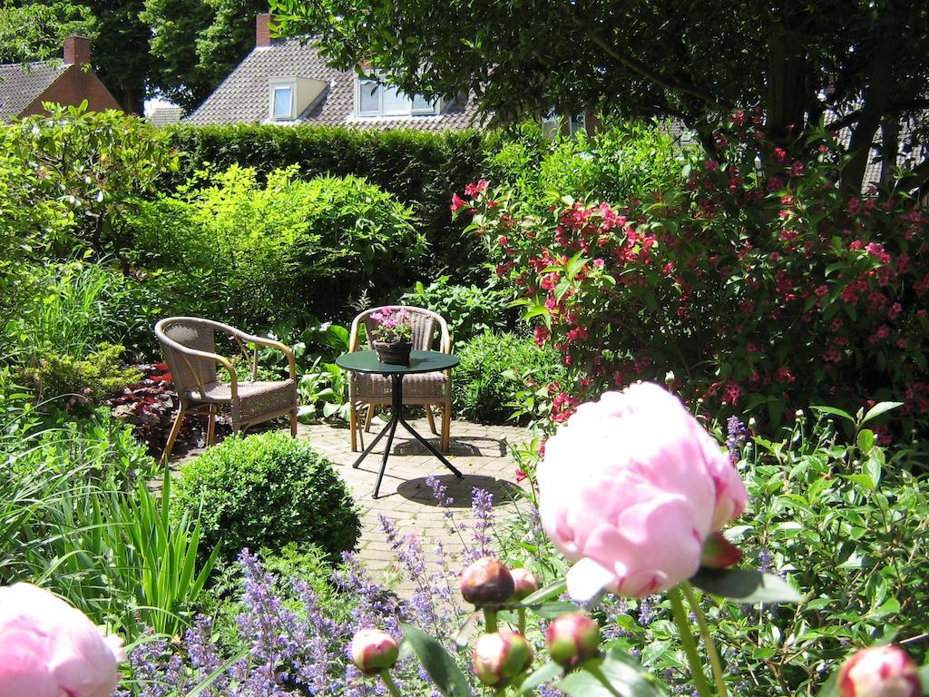 B&B De Esdoorn Norg Extérieur photo