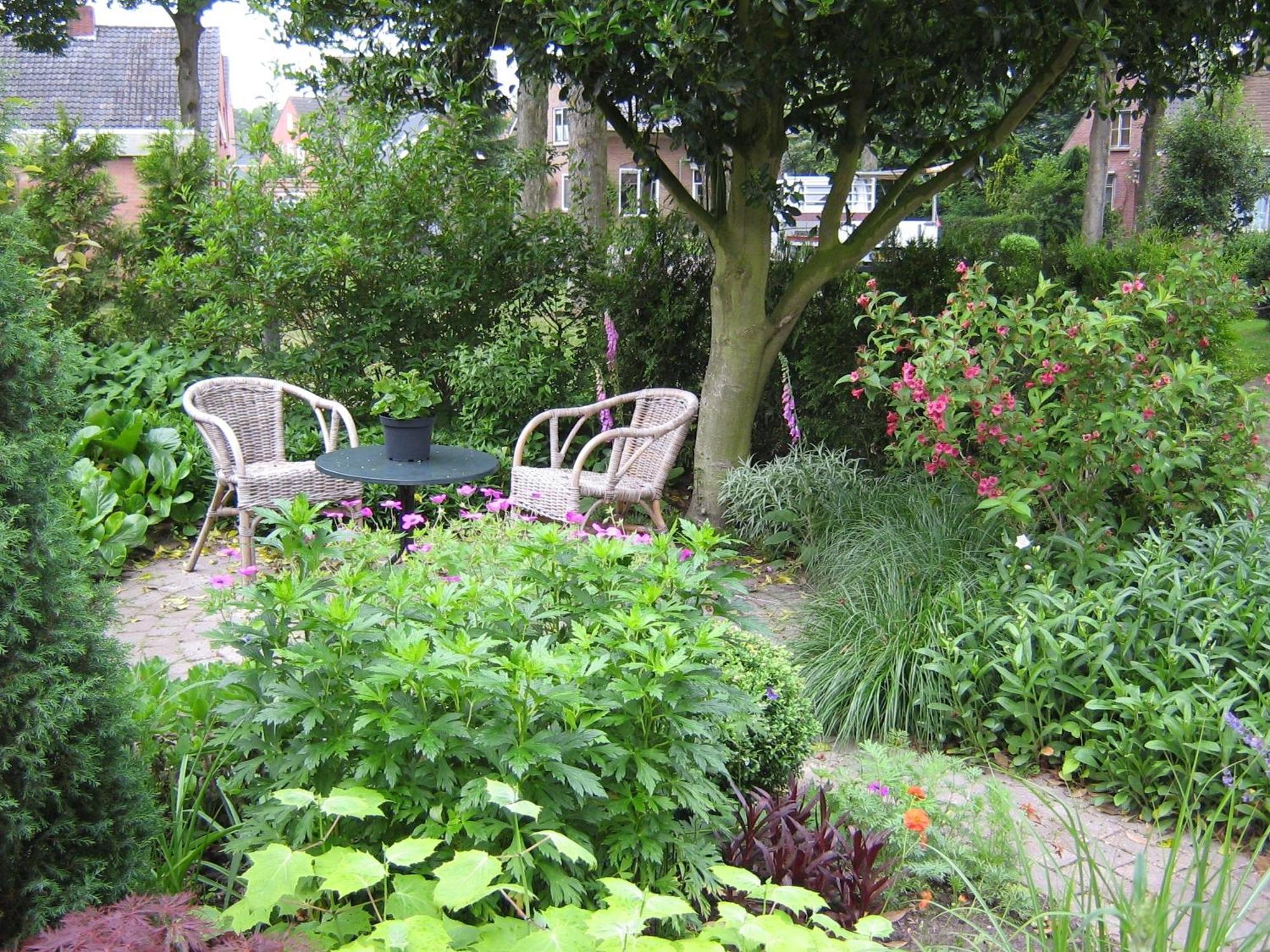 B&B De Esdoorn Norg Extérieur photo