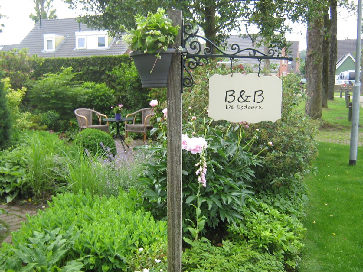 B&B De Esdoorn Norg Extérieur photo
